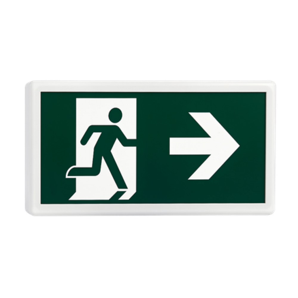 Addressable Emergency Luminaire DOT-8/LF/ST/WP/ADR 