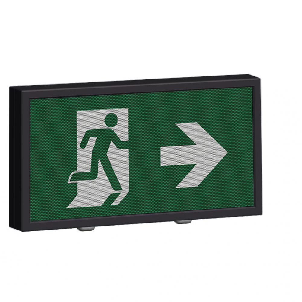 DN-1003/C emergency signage luminaire with downlight
