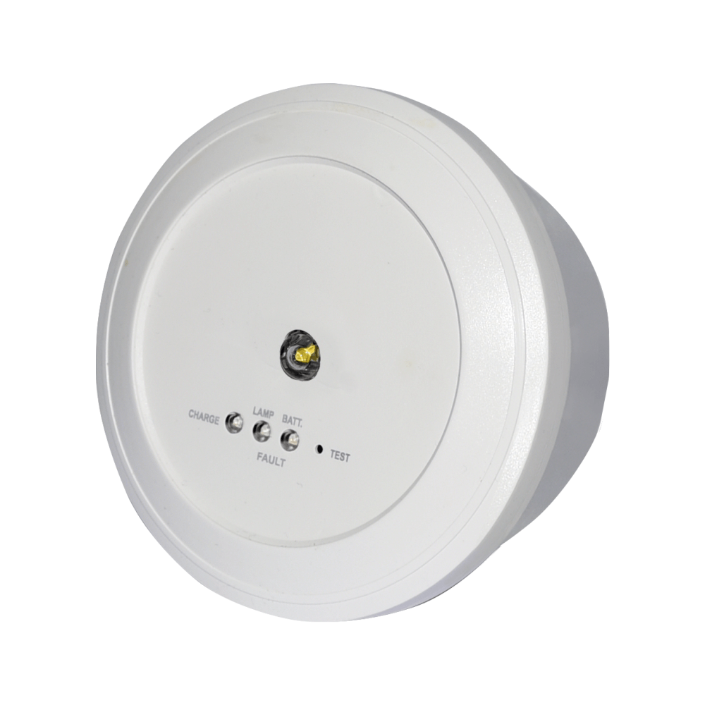 Emergency Light, GR-291/WP/M/WL, Wireless Spot Light, For open areas
