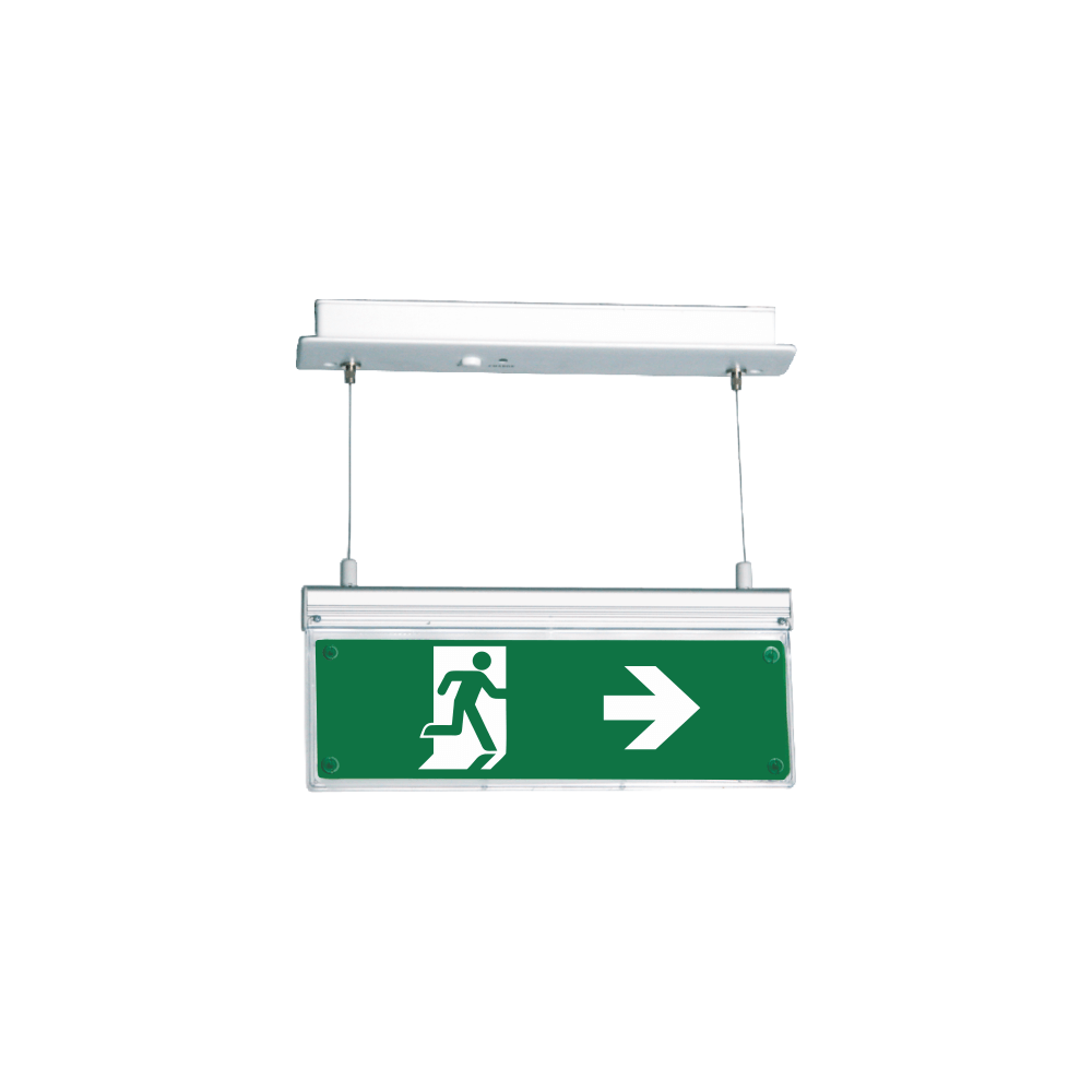 Emergency Light, SLD-44/DZ/M/ADR, Addressable Lounge Light