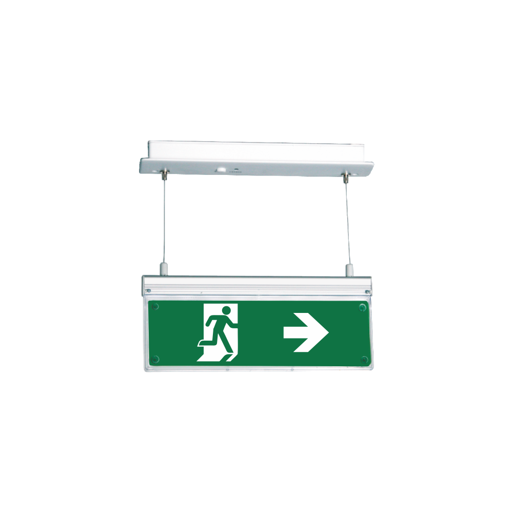 Emergency Light, SLD-34/CBS/DZ/24V DC, Lounge Light