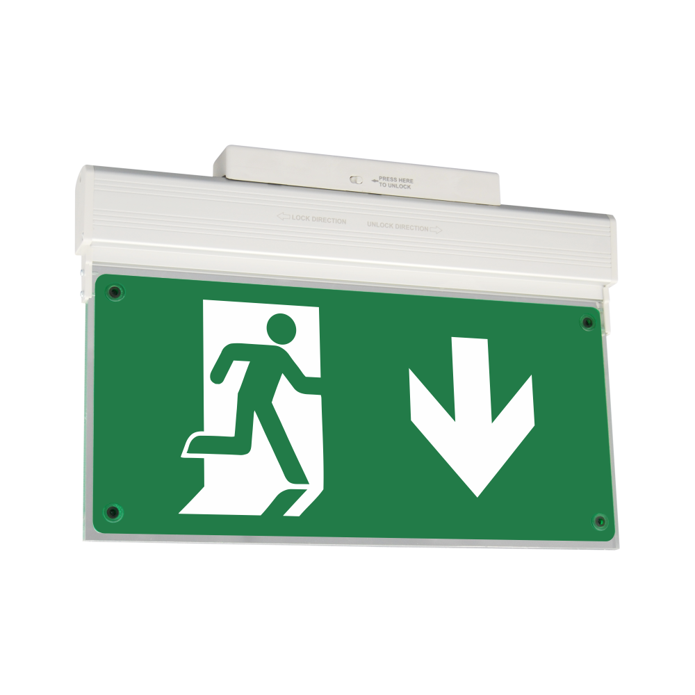 Emergency Light, ZLD-34/EM/ADR, Addressable Eco Light